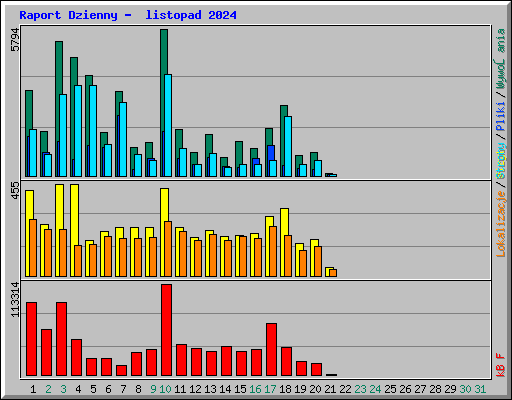 Raport Dzienny -  listopad 2024