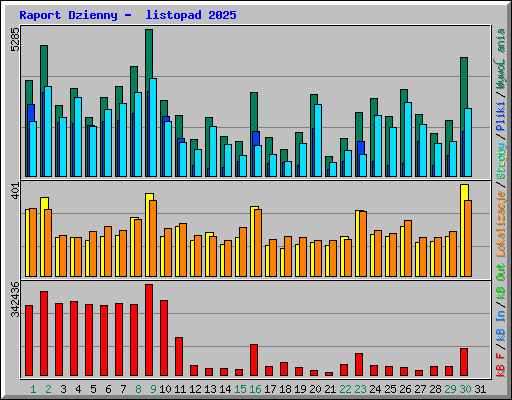 Raport Dzienny -  listopad 2025