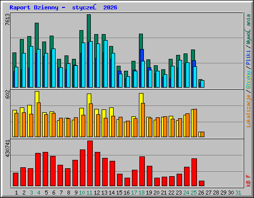 Raport Dzienny -  styczeń 2026