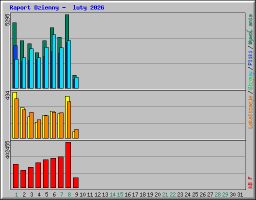 Raport Dzienny -  luty 2026
