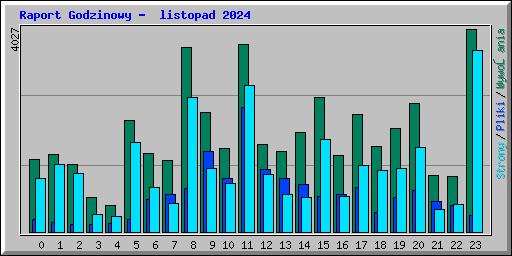 Raport Godzinowy -  listopad 2024