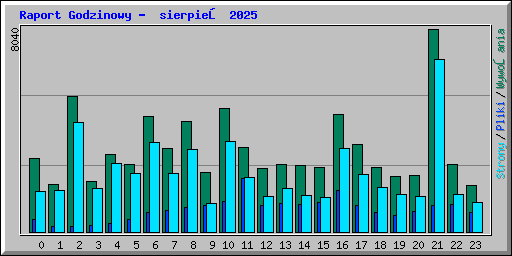 Raport Godzinowy -  sierpień 2025