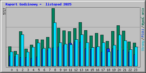 Raport Godzinowy -  listopad 2025