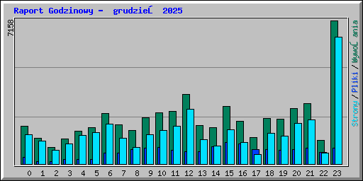 Raport Godzinowy -  grudzień 2025