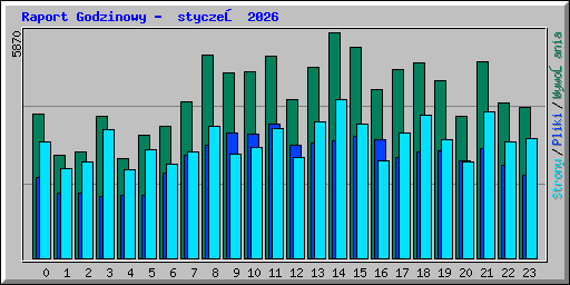 Raport Godzinowy -  styczeń 2026