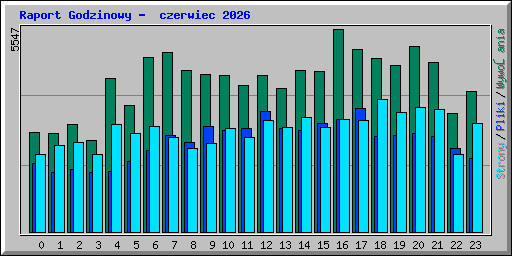 Raport Godzinowy -  czerwiec 2026