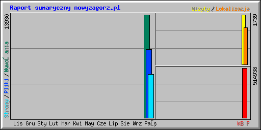 Raport sumaryczny nowyzagorz.pl